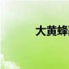 大黃蜂改裝指南（大黃蜂改裝）