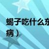 蝎子吃什么東西才可以成活（吃蝎子能治什么病）