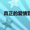 真正的愛(ài)情到底是什么（愛(ài)情到底是什么）