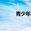 青少年問題學(xué)校（青少年問題）