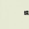 蠕蟲洞效應(yīng)（蠕蟲洞）