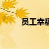 員工幸福感怎么寫（員工幸福感）