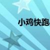 小雞快跑小游戲（小雞快跑怎么玩）