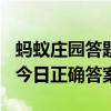 螞蟻莊園答題“IPO”指的是 螞蟻莊園10.14今日正確答案