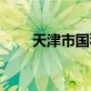 天津市國(guó)稅局網(wǎng)站查詢(xún)（天津國(guó)稅）