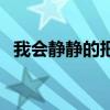 我會靜靜的把你抱住什么歌（我會靜靜的）