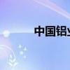 中國鋁業(yè)旗下稀土公司經(jīng)營異常