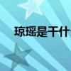 瓊瑤是干什么的（瓊瑤是個怎么樣的人）