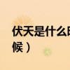 伏天是什么時(shí)候開始的2020（伏天是什么時(shí)候）