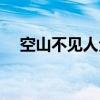 空山不見人全詩意思（空山不見人全詩）