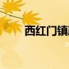 西紅門鎮(zhèn)政務(wù)服務(wù)中心（西紅門鎮(zhèn)）