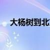 大楊樹到北京火車停站（大楊樹到北京）