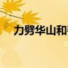 力劈華山和善惡有報哪個好（力劈華山）