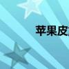 蘋果皮重多少（蘋果皮多少錢）