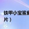 鐵甲小寶鯊魚辣椒壁紙（鐵甲小寶鯊魚辣椒圖片）