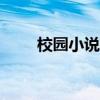 校園小說100（校園小說合集短篇）