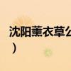 沈陽薰衣草公園在哪里（沈陽薰衣草主題公園）