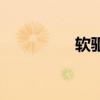 軟驅(qū)驅(qū)動(dòng)器（軟驅(qū)驅(qū)動(dòng)）