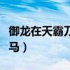 御龍在天霸刀武器大全（御龍在天霸刀騎什么馬）