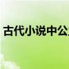 古代小說(shuō)中公主的名字（古代公主名字小說(shuō)）
